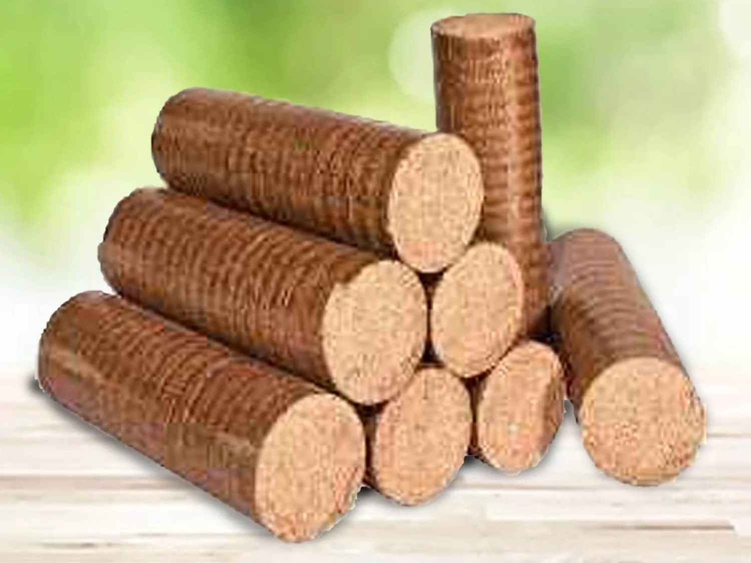 Production and Supply of Biomass Briquettes